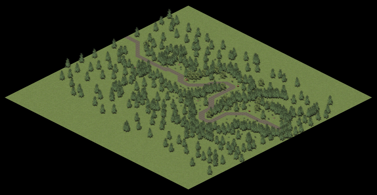 A Forest Road.jpg