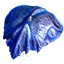 Carapace blue.png