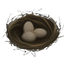 Nests