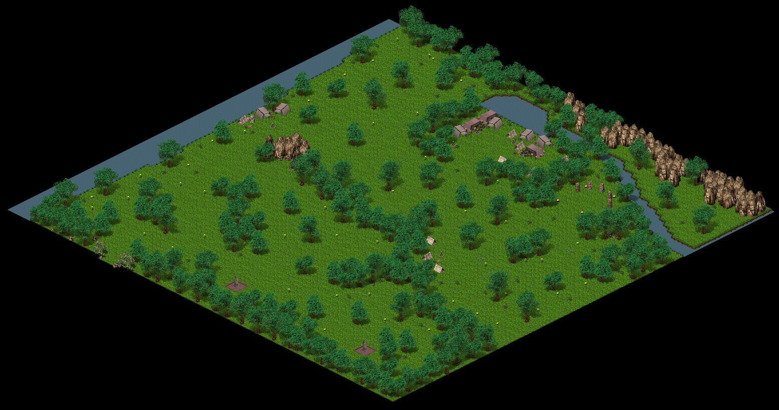 Elder Forest.jpg