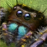 F33.png