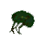 Green organ.png