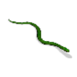 Snake.png
