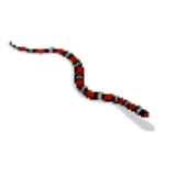 Snake2.png