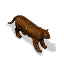 Tiger.png