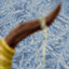Weapon bow ice.png