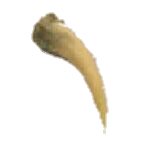 Wpn dagger fang.png