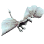 Wyvern white.png
